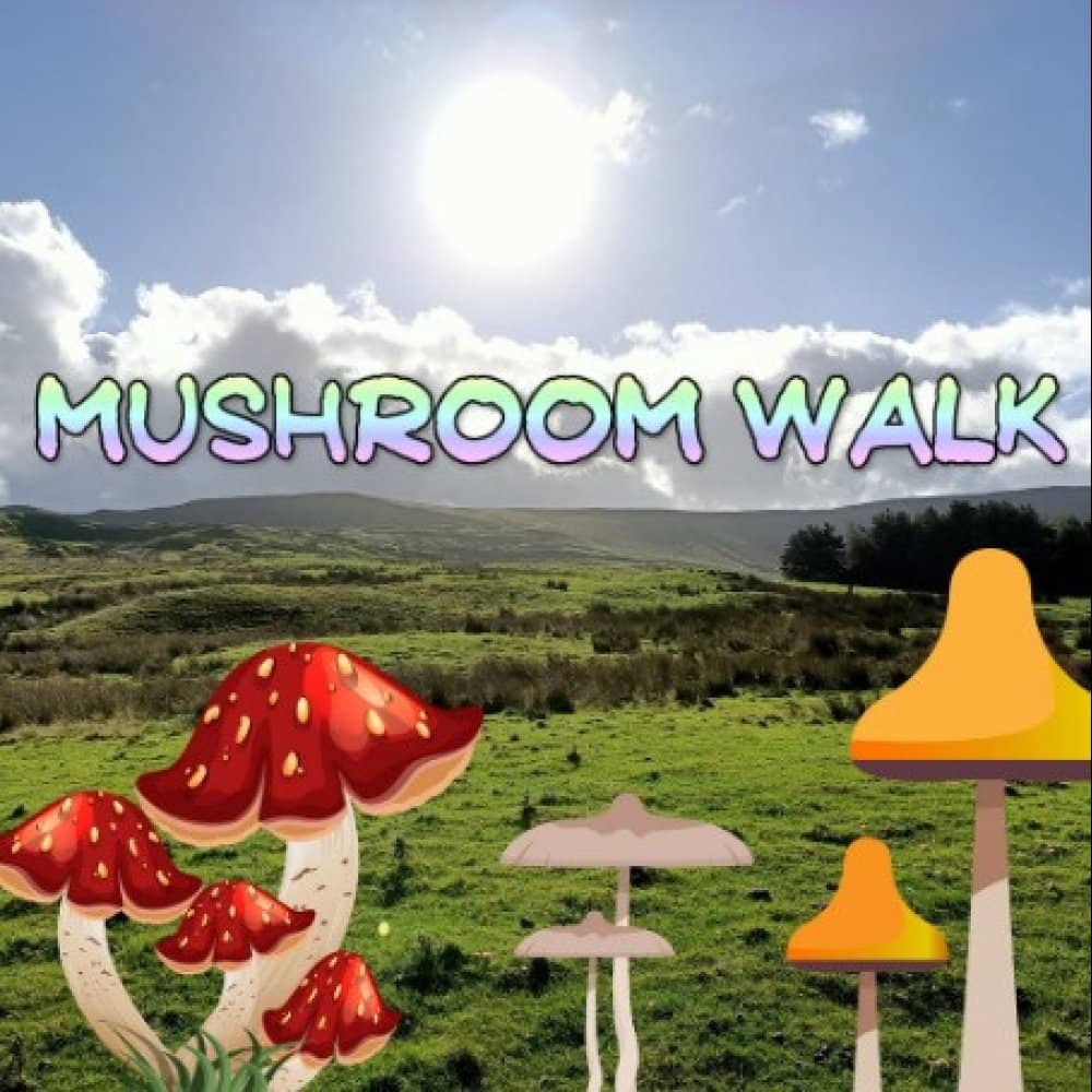 Liberty Cap Guided Walk. Peak District. Fungi Foraging Liberty Cap Guided Walk. Peak District. Fungi Foraging events