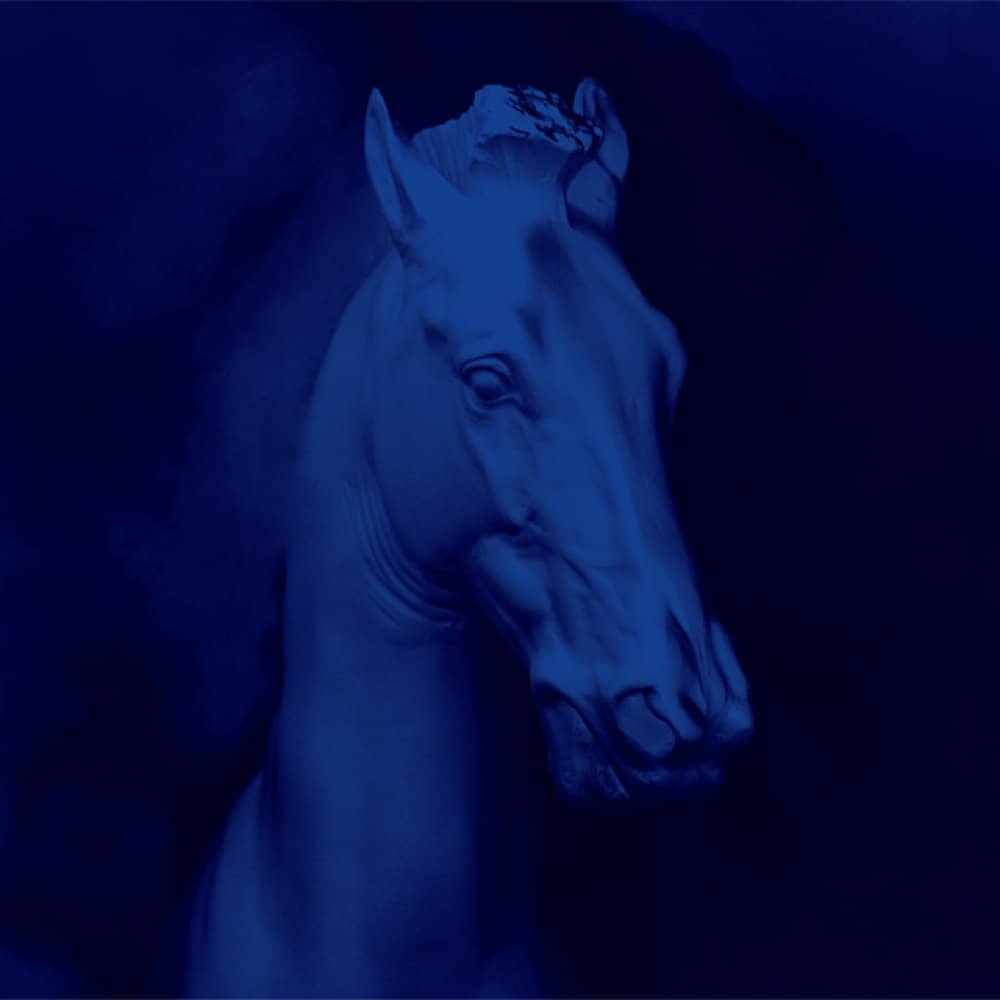 Phoenix Foundation Phoenix Foundation events