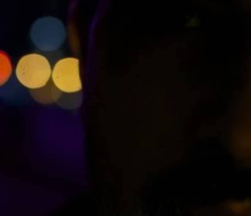 Blazey Bodynod events