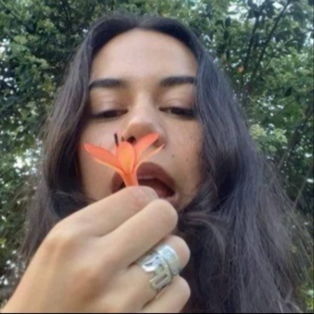 AJ Honeysuckle AJ Honeysuckle events