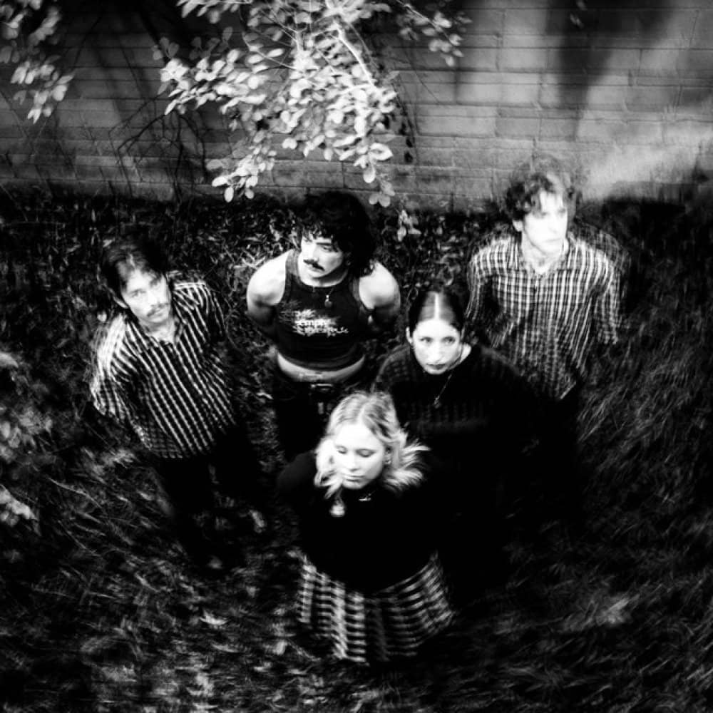 Creeping Jenny Creeping Jenny events