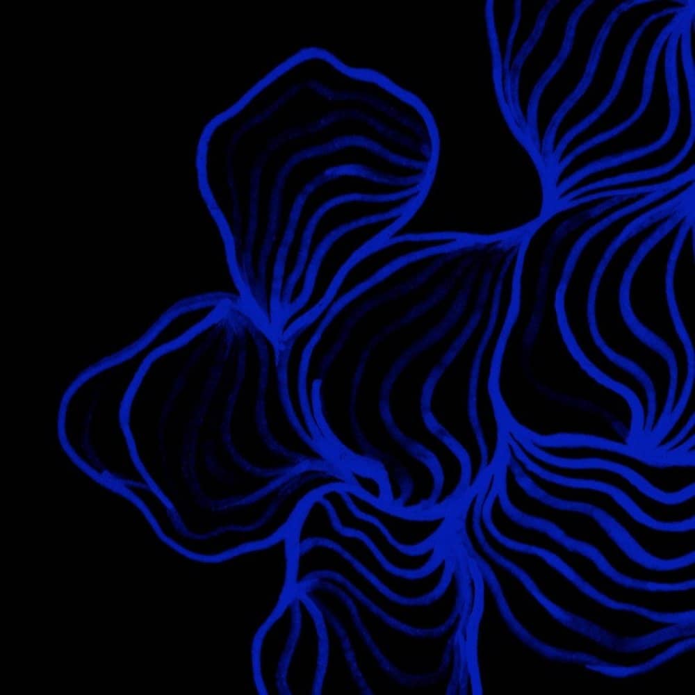 Shadow Spirit Shadow Spirit events