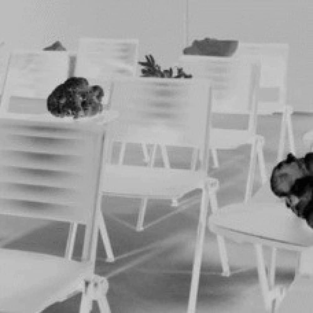 Artist Session: Climate-Fiction Artist Session: Climate-Fiction events