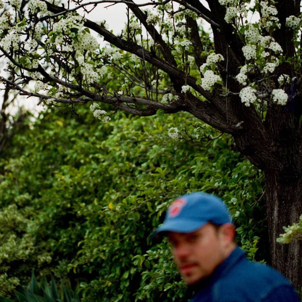 Jeff Rosenstock events