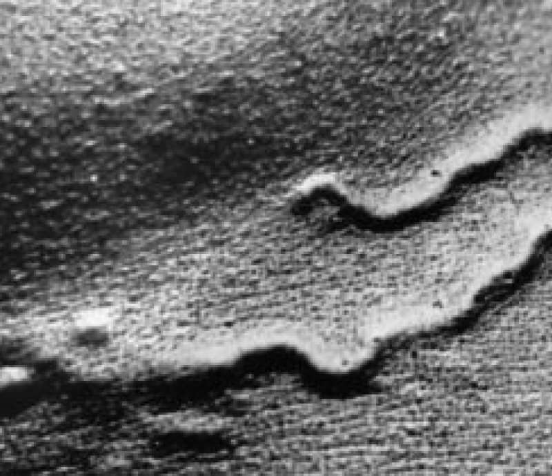 Exterminador Exterminador events