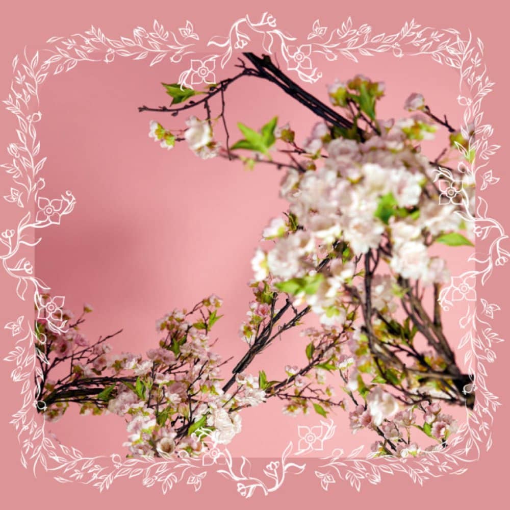 Claire Richards Claire Richards events