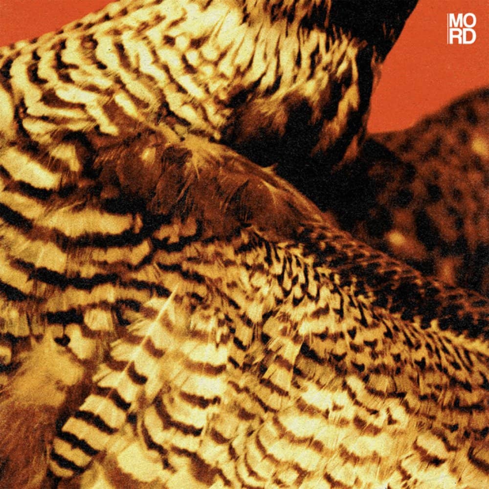 Tensal Tensal events