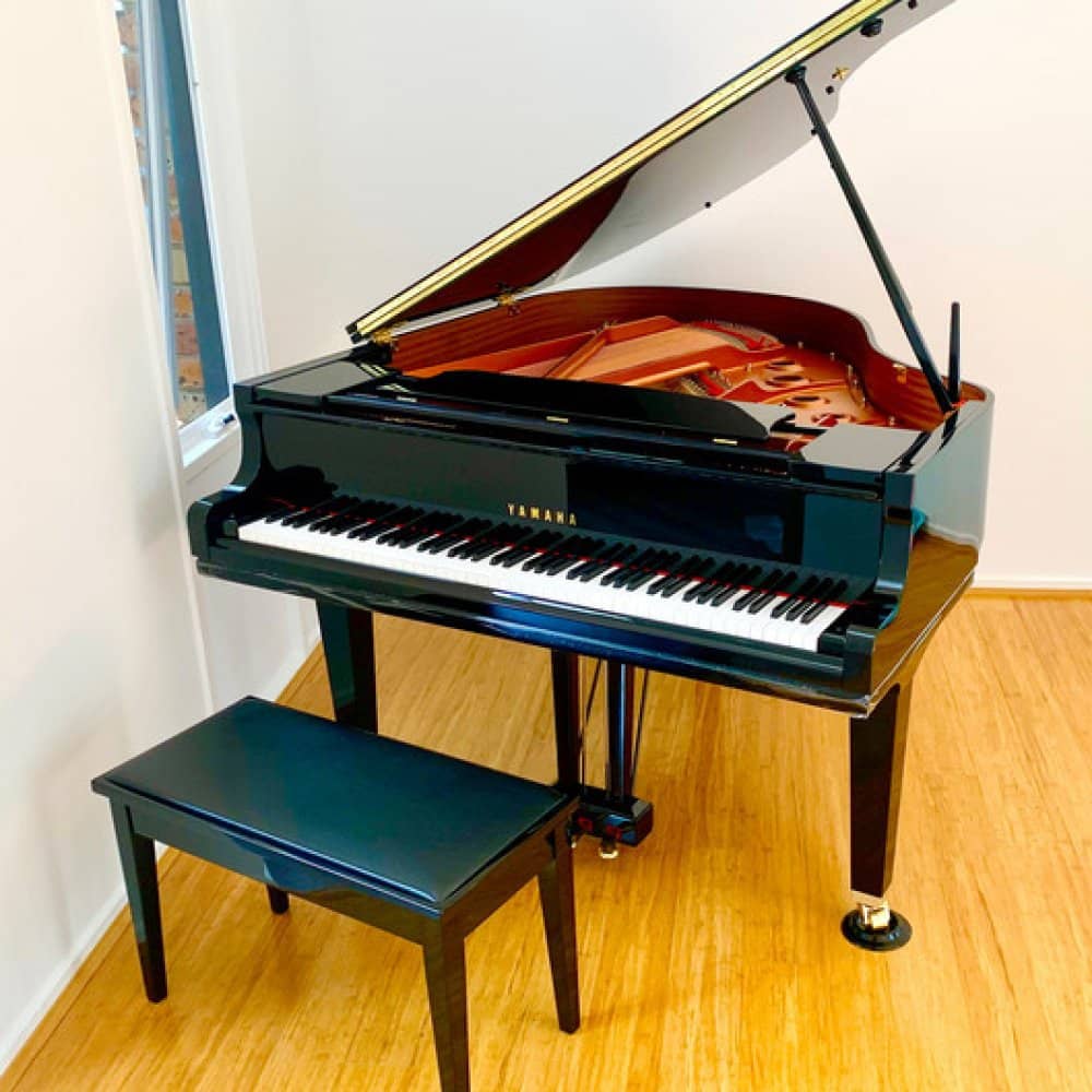 Andrew Hansen events