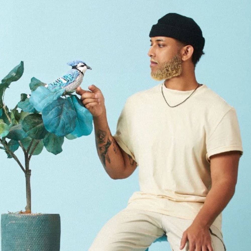 Alexander Nate events