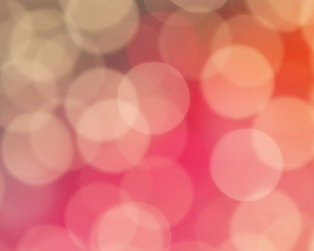 All Star Cheerleading AASCF events