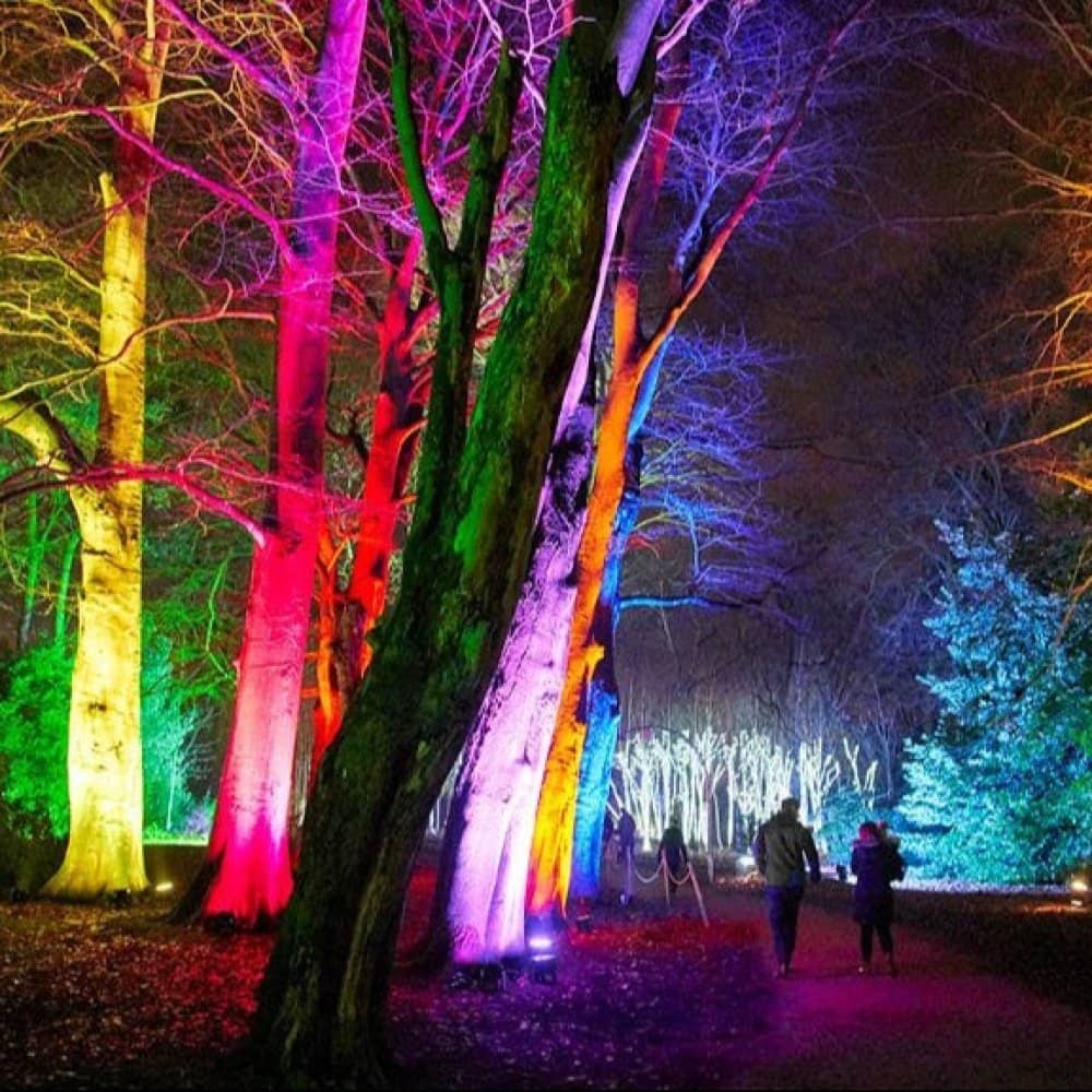 Christmas at Bedgebury Christmas at Bedgebury events