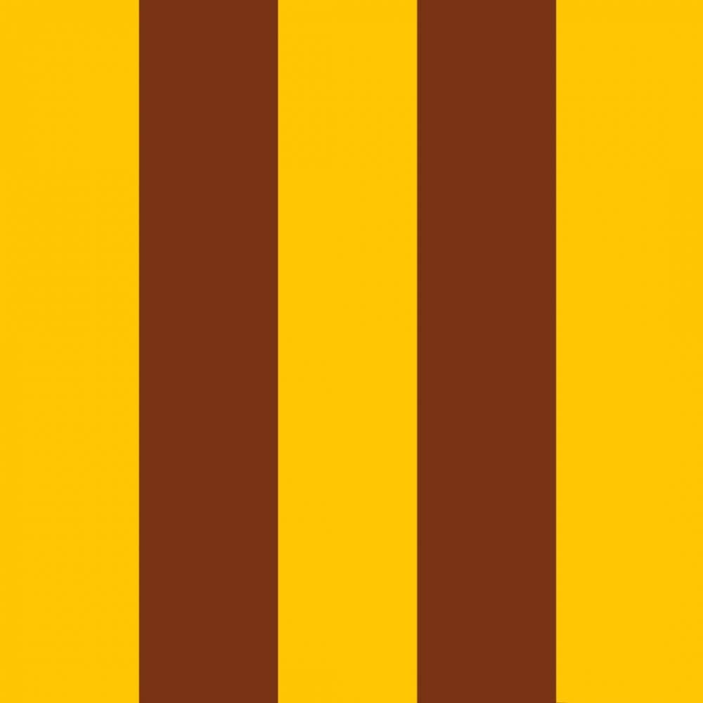 Hawthorn Hawks Hawthorn Hawks events