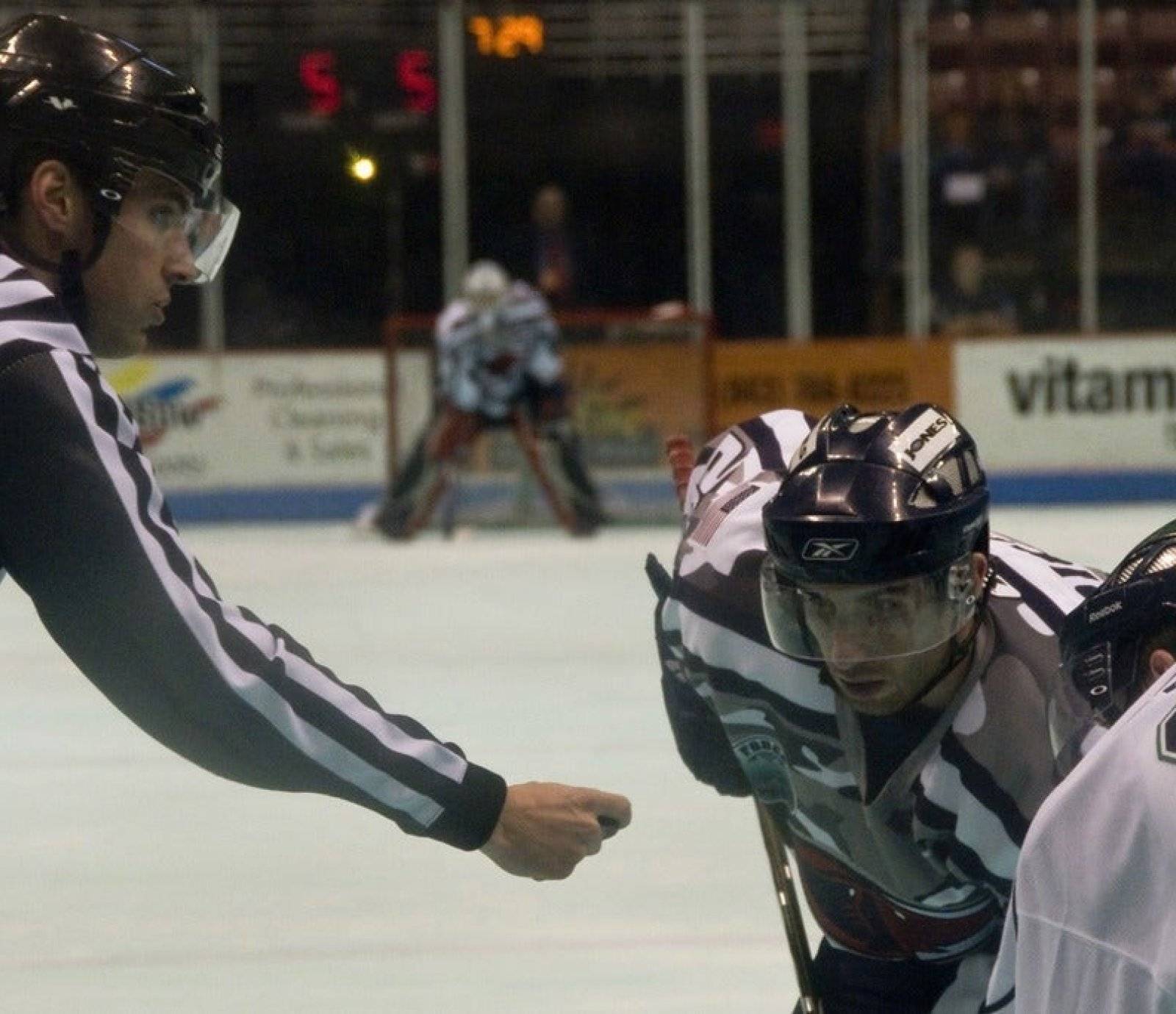 Bloomington Bison Bloomington Bison events