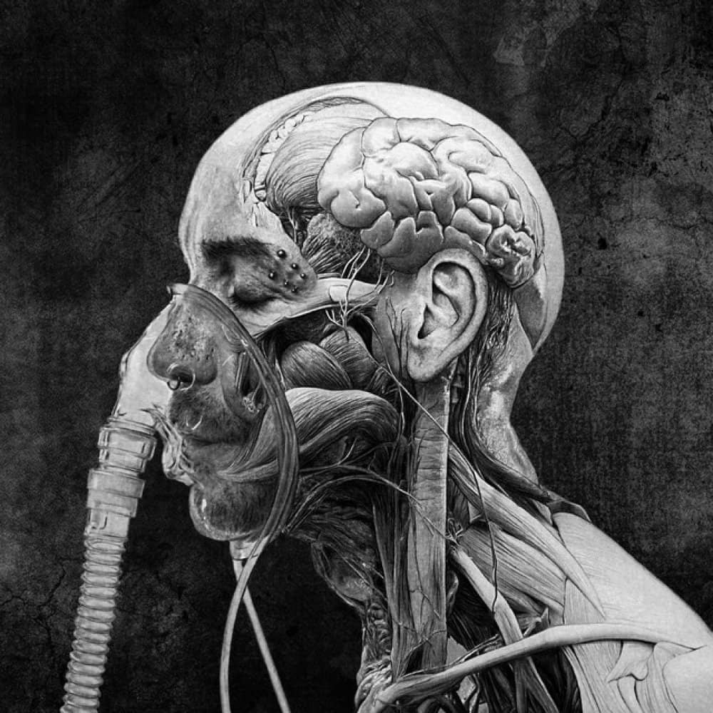 Till Lindemann Till Lindemann events