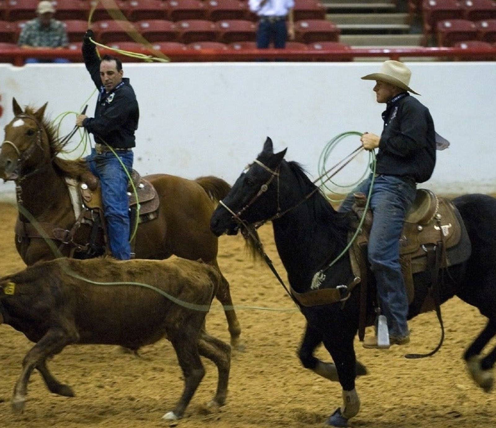 Cinch Playoffs - The Governors Cup Cinch Playoffs - The Governors Cup events