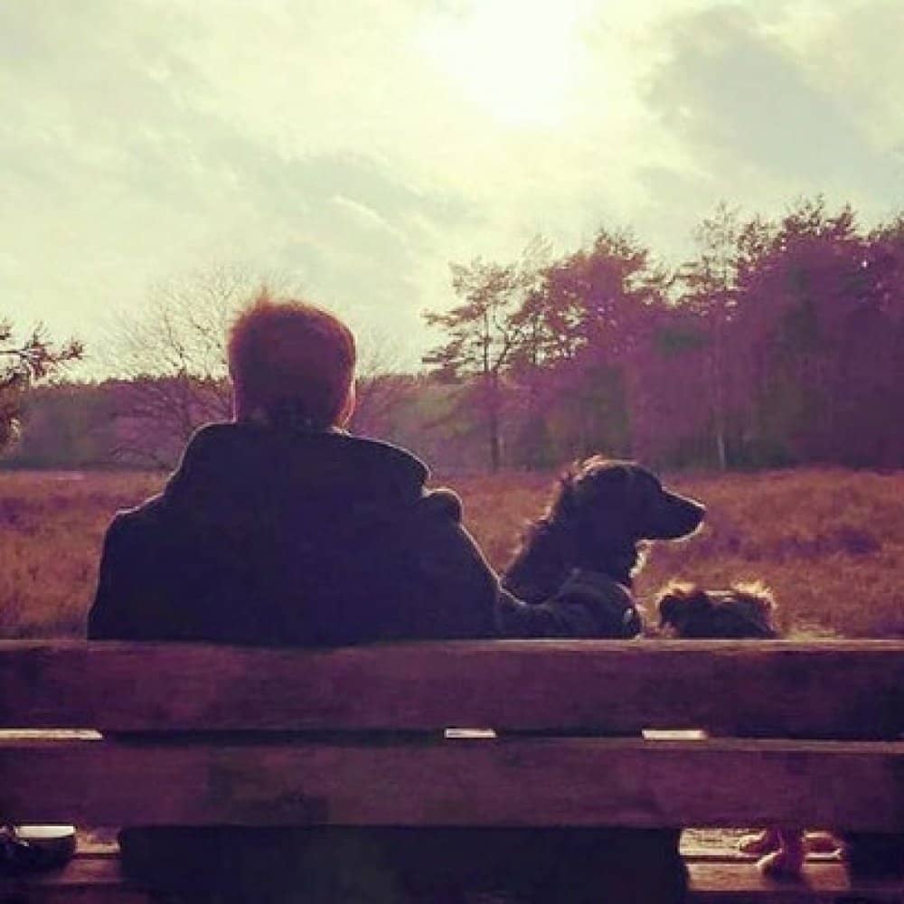 The Wanderers The Wanderers events