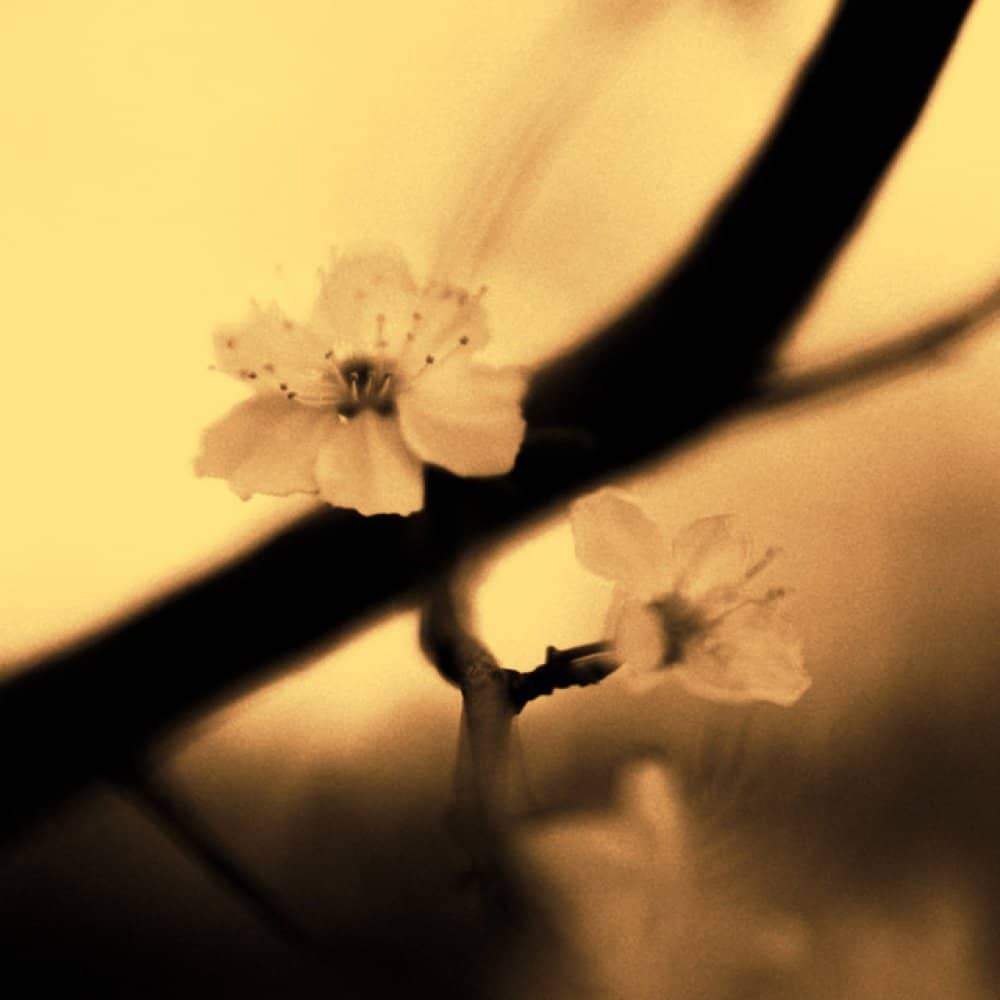 Christian Johnson Christian Johnson events