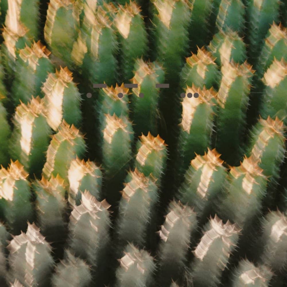 DJ Rush DJ Rush events