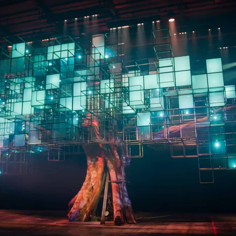 A Forest for the Trees A Forest for the Trees events