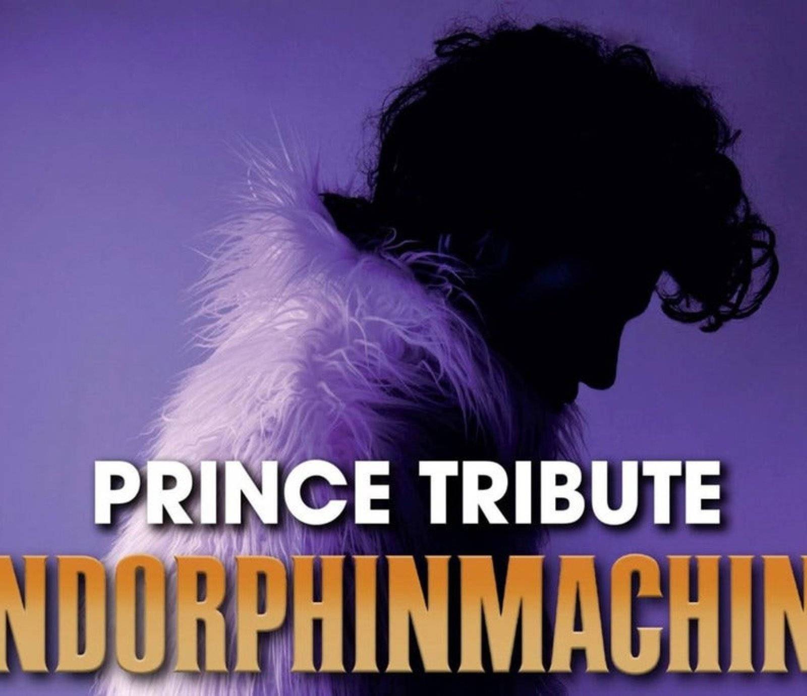 Prince Tribute Endorphinmachine events