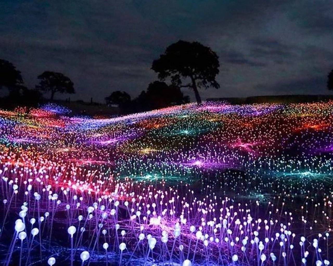 Field of Light events