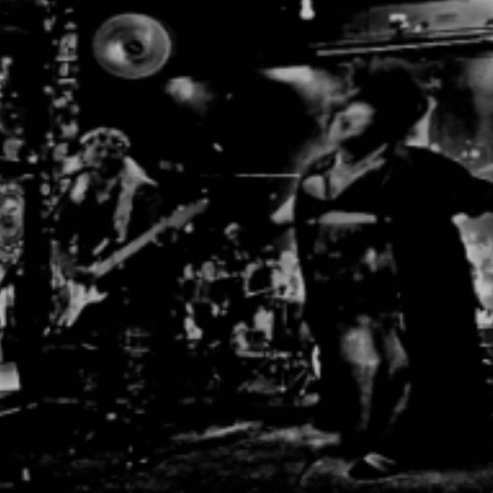 The Cunning Linguists events