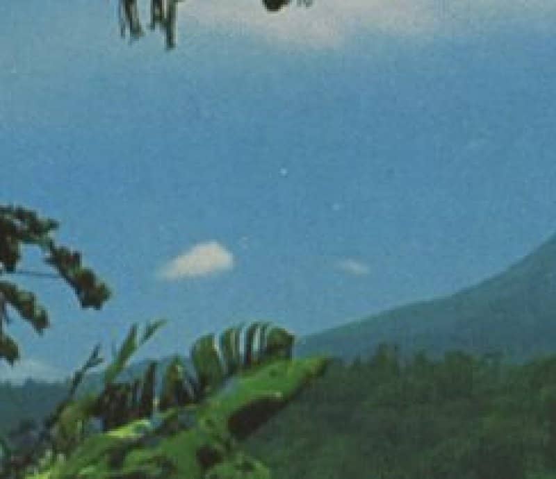 Billy Caso Billy Caso events