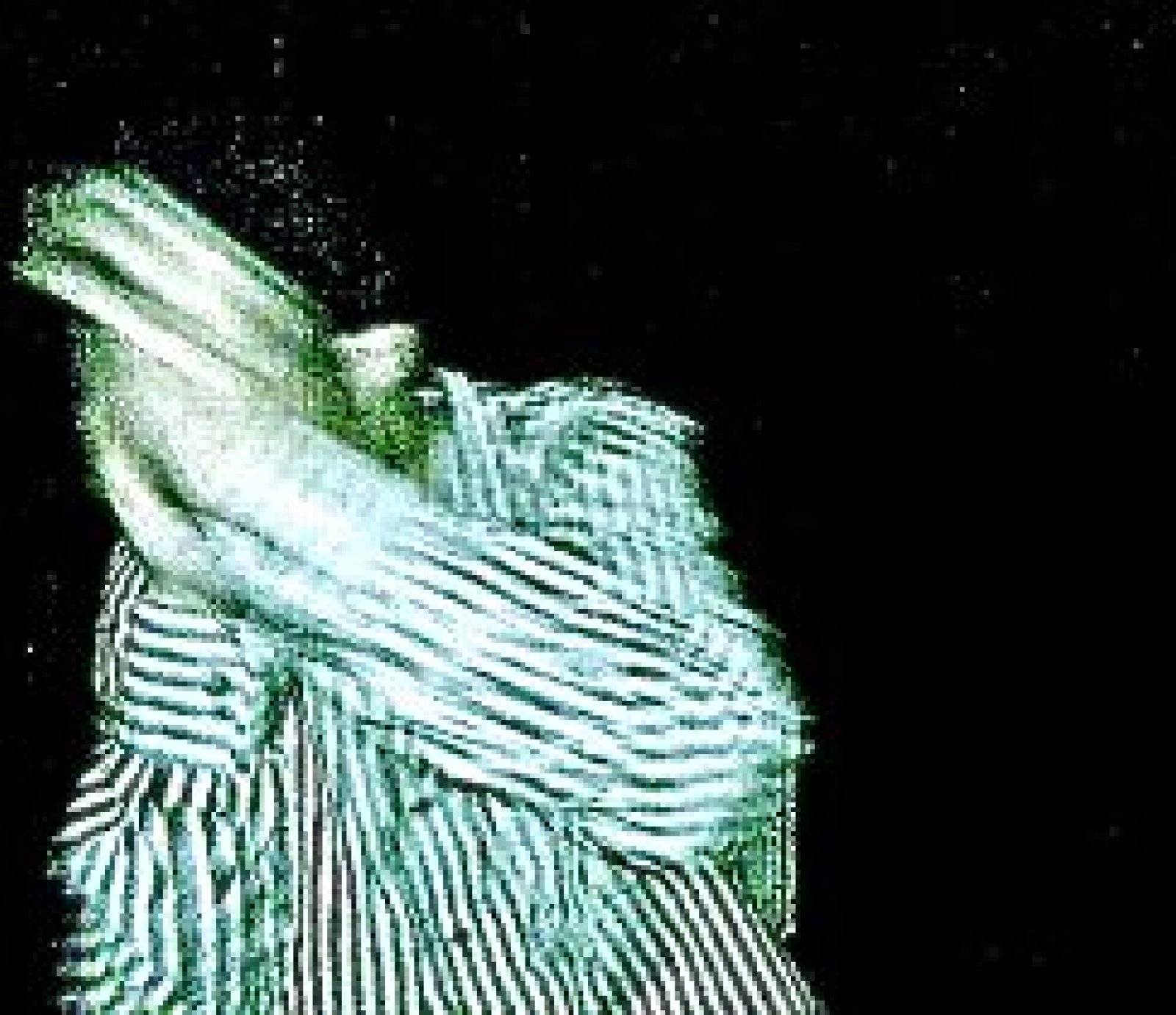 Ryosuke Ryosuke events