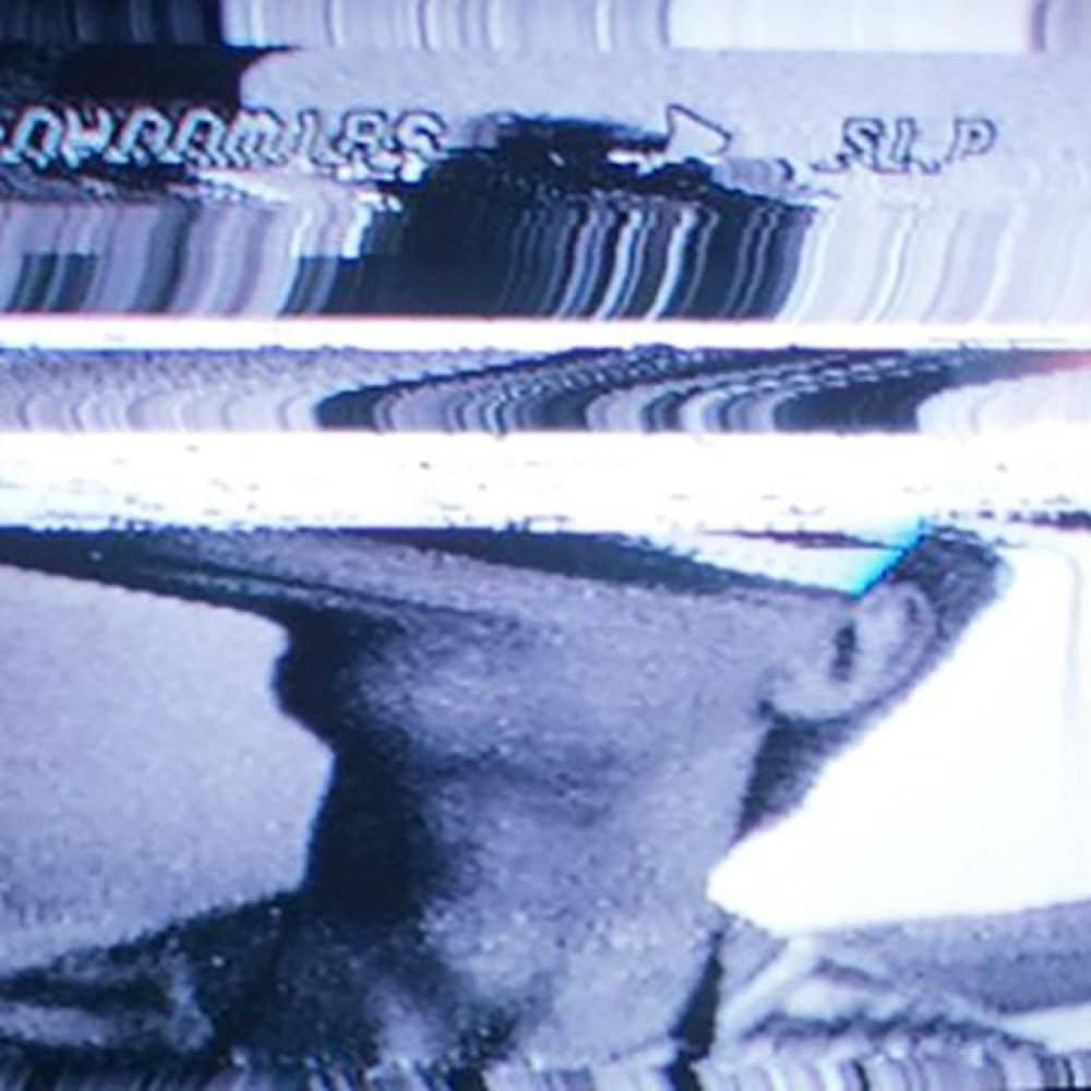 Orchid Mantis events