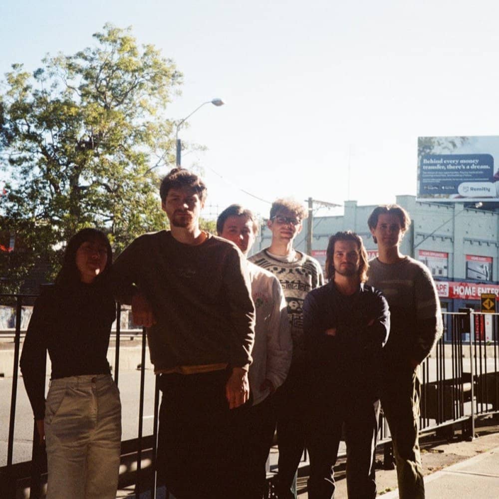 Seen Herbivore events