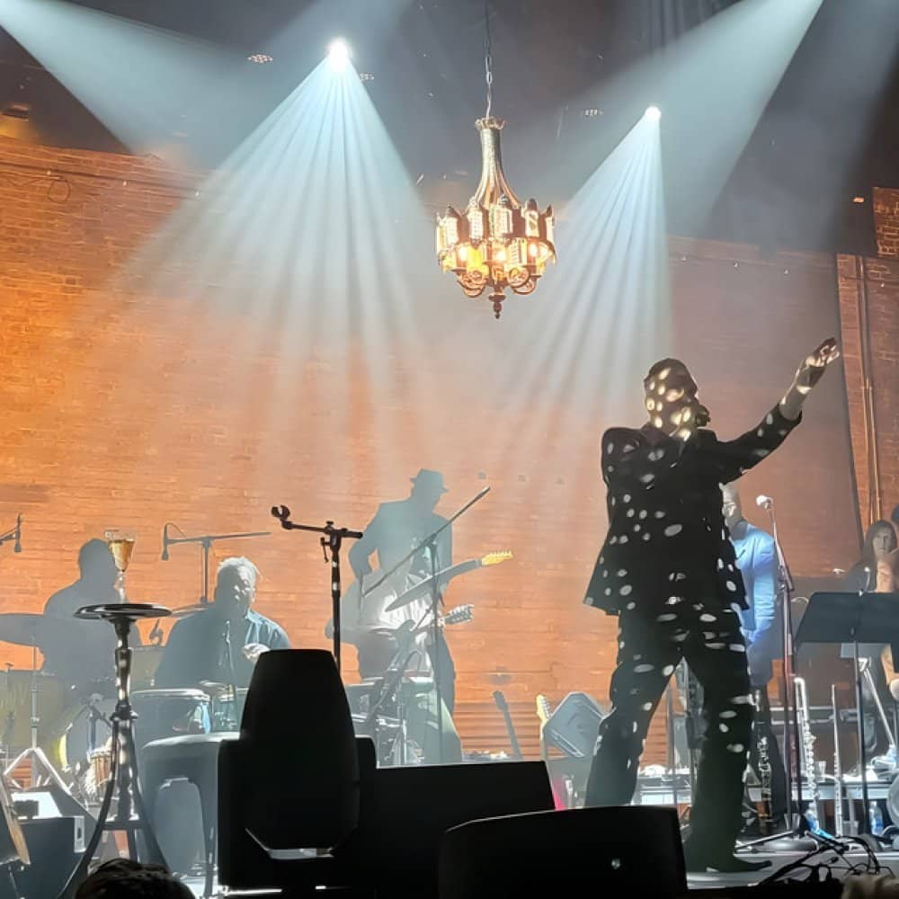 Poi Dog Pondering Poi Dog Pondering events