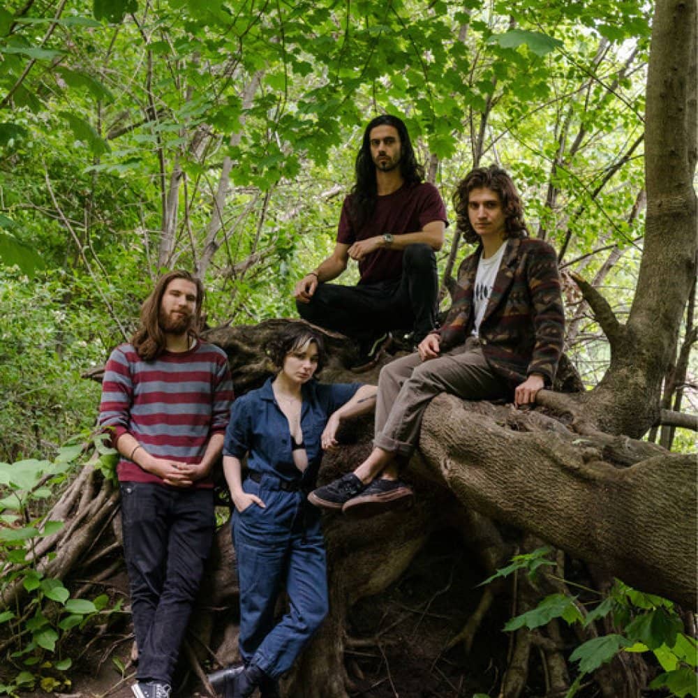 OK Goodnight OK Goodnight events