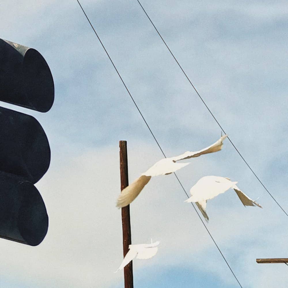 Nídia & Valentina Nídia & Valentina events