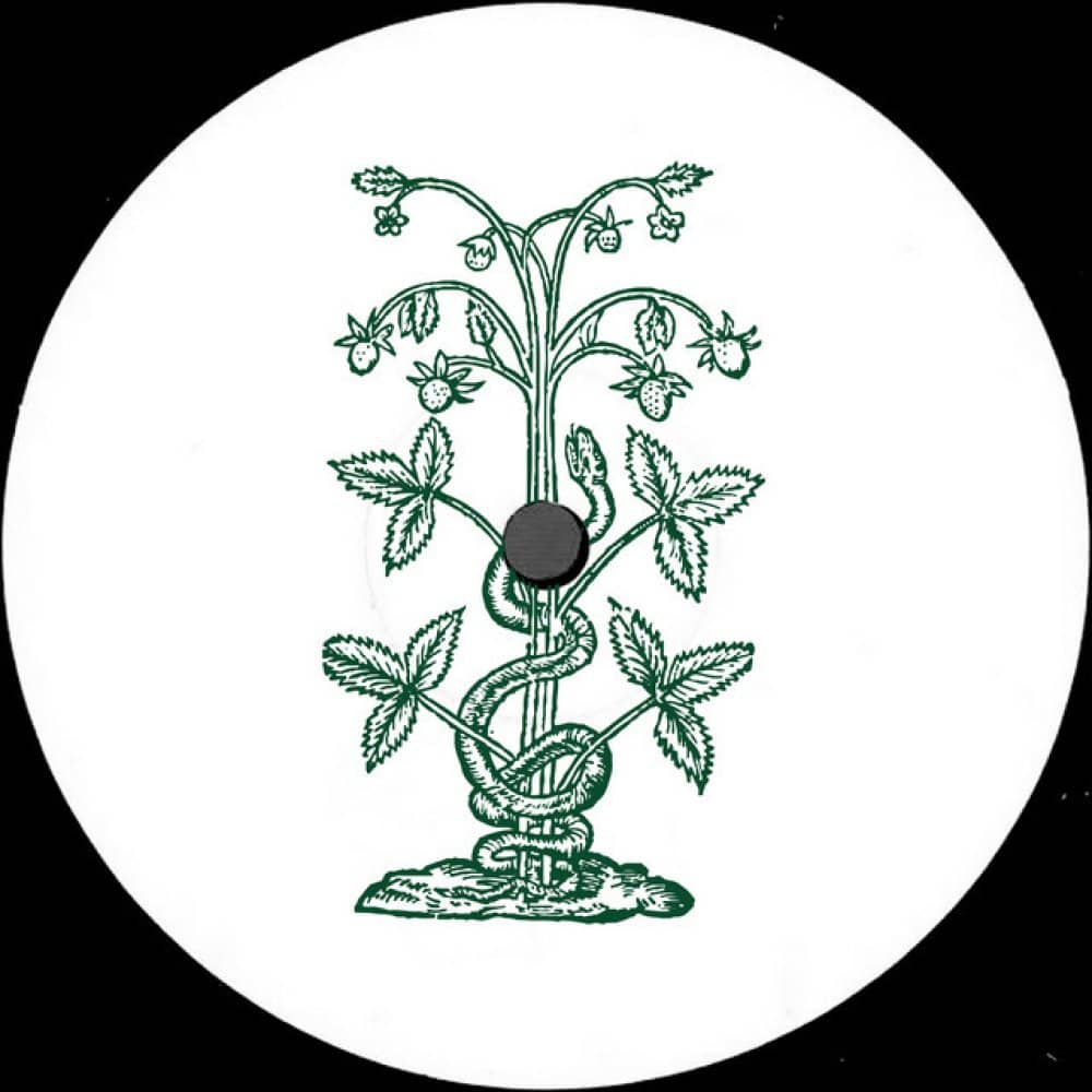 Blasha & Allatt events