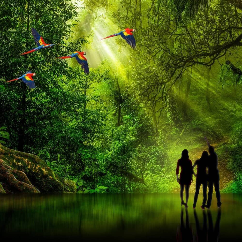 BBC Earth Experience events