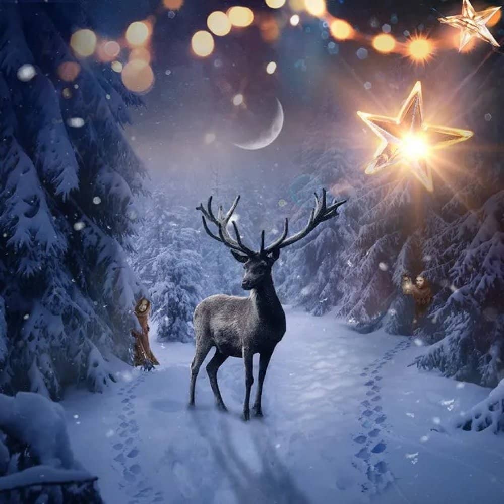 Robin Hood and the Christmas Heist Robin Hood and the Christmas Heist events