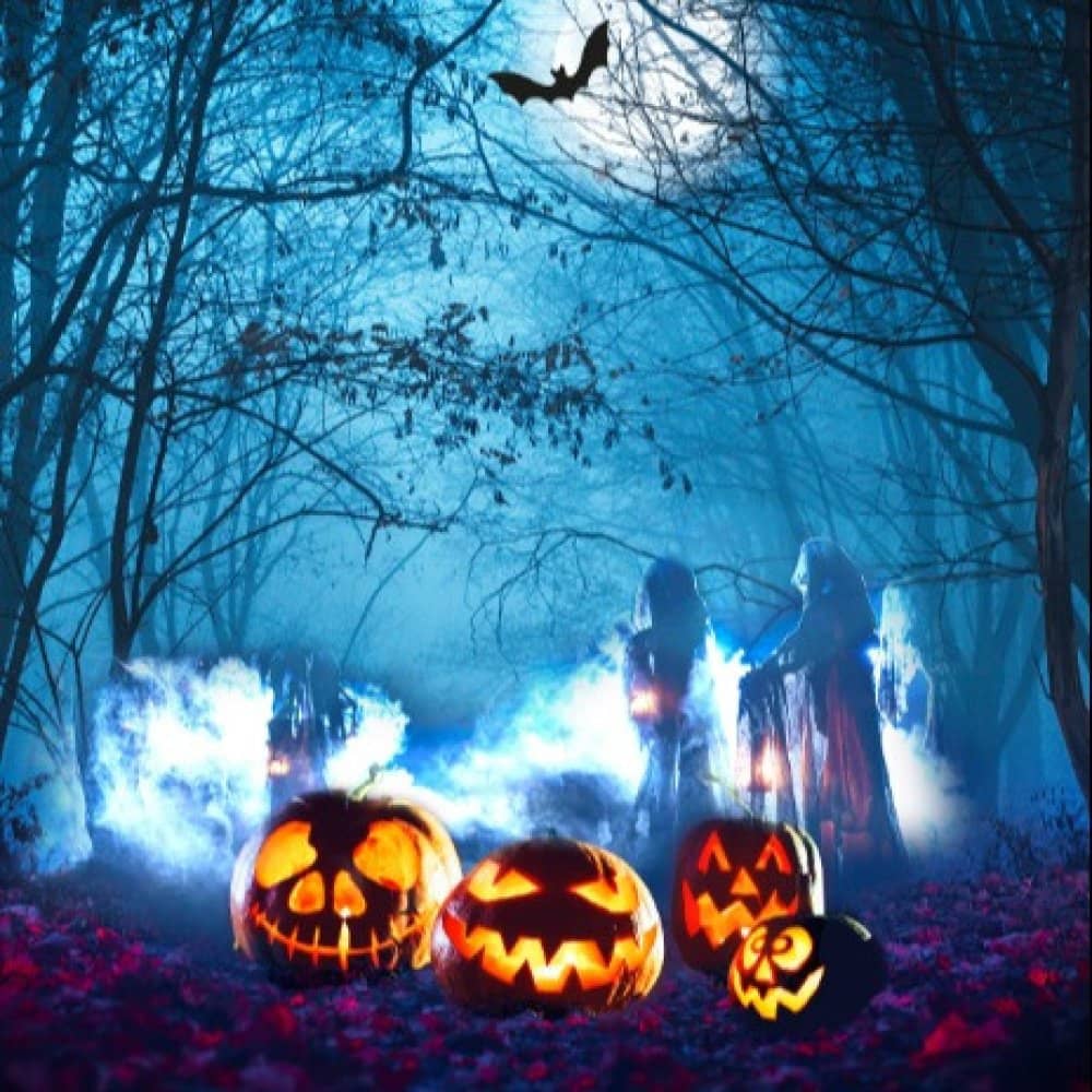 Halloween at Moors Valley Halloween at Moors Valley events