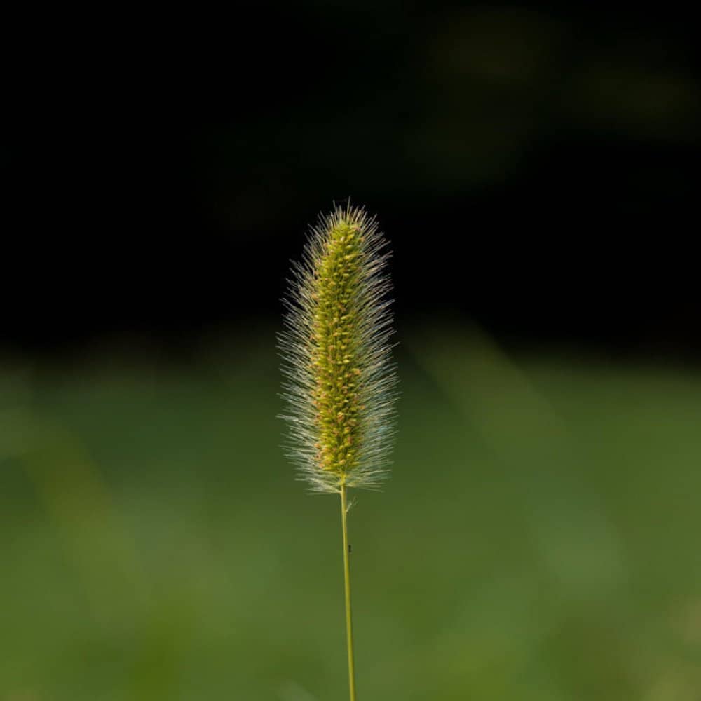 DJ Craze DJ Craze events