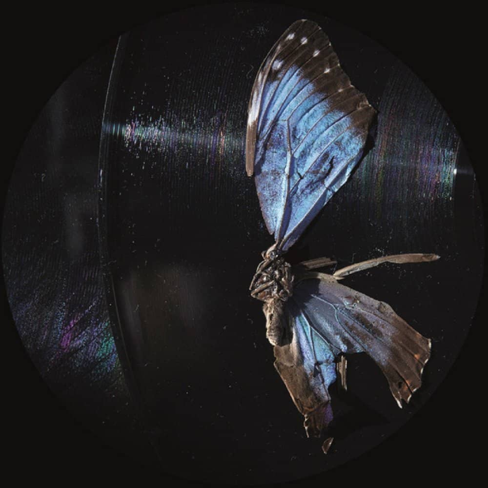 Ben Buitendijk Ben Buitendijk events