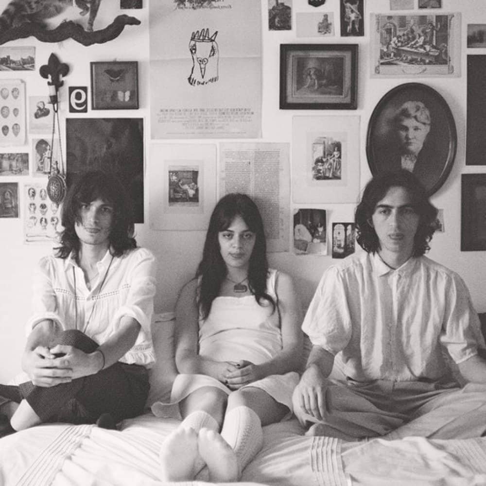 wych elm wych elm events