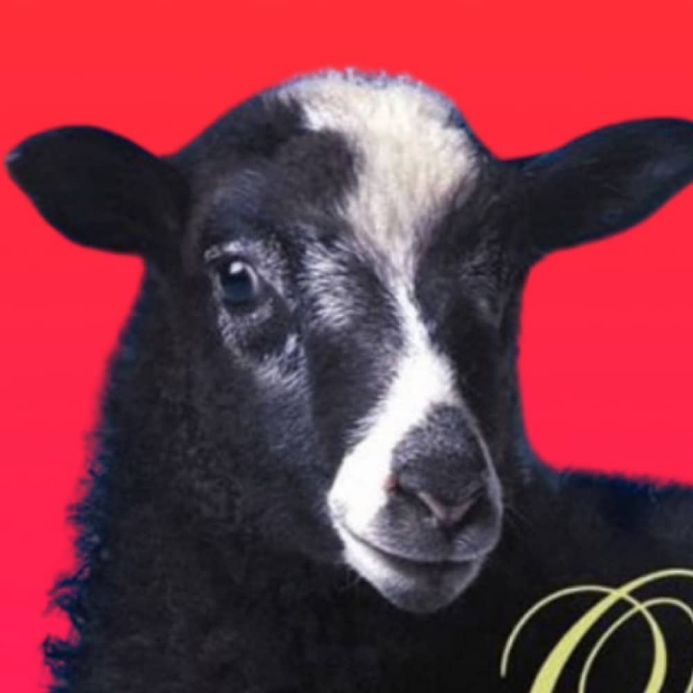 The Ordinary Boys events