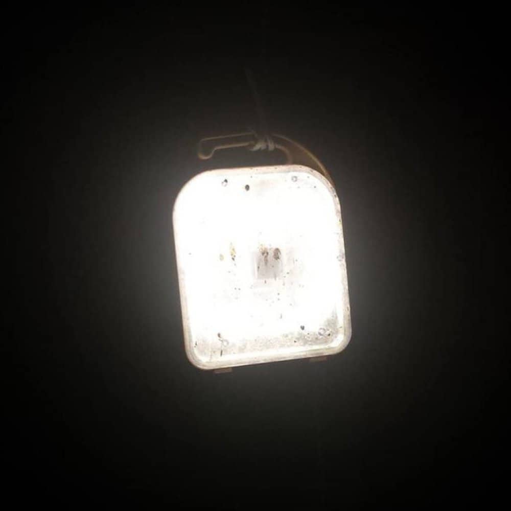 Black Midi Black Midi events