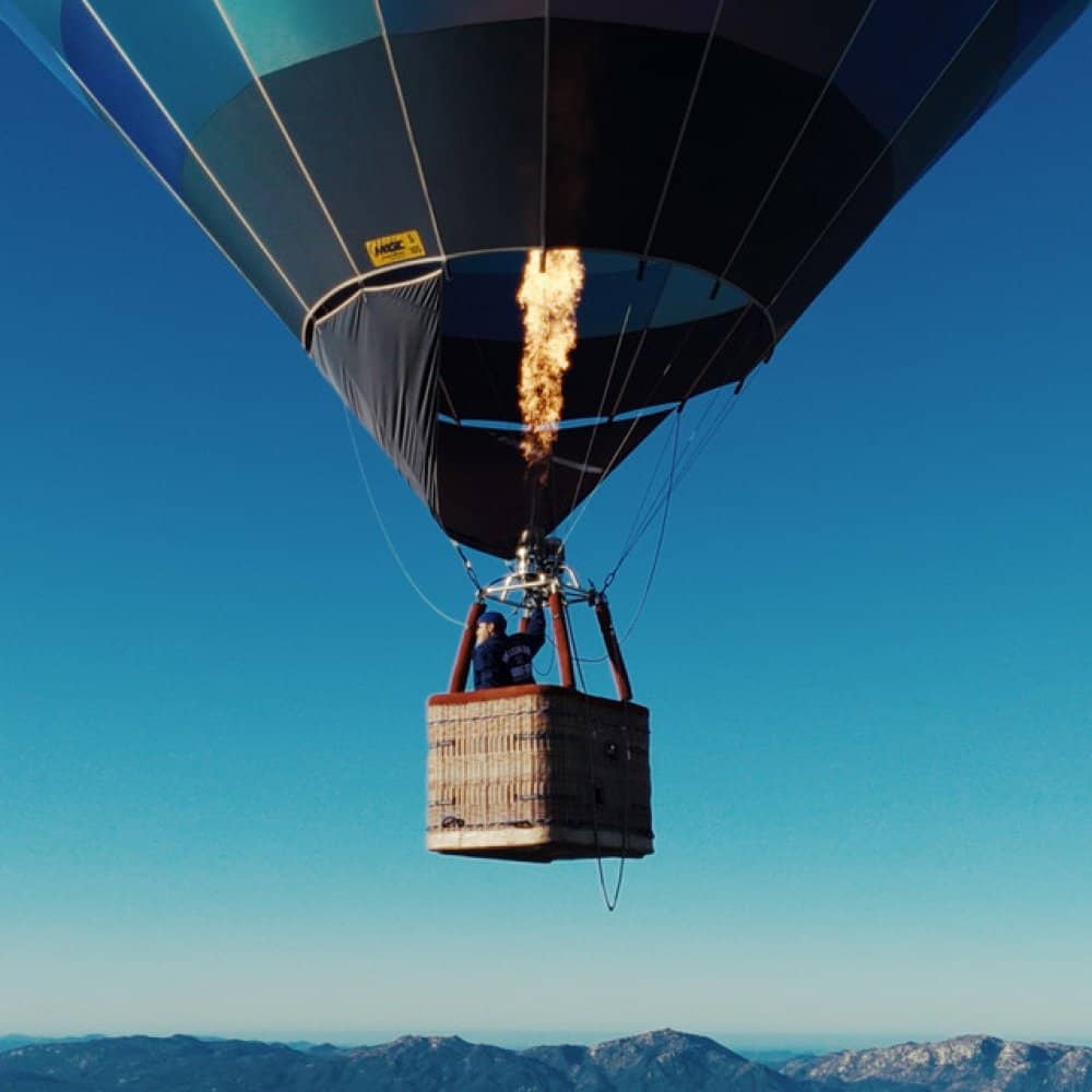 Alexander Nut Alexander Nut events