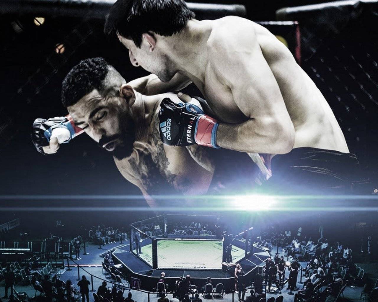 Eternal MMA Eternal MMA events