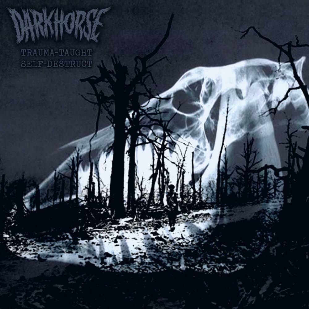 Darkhorse events