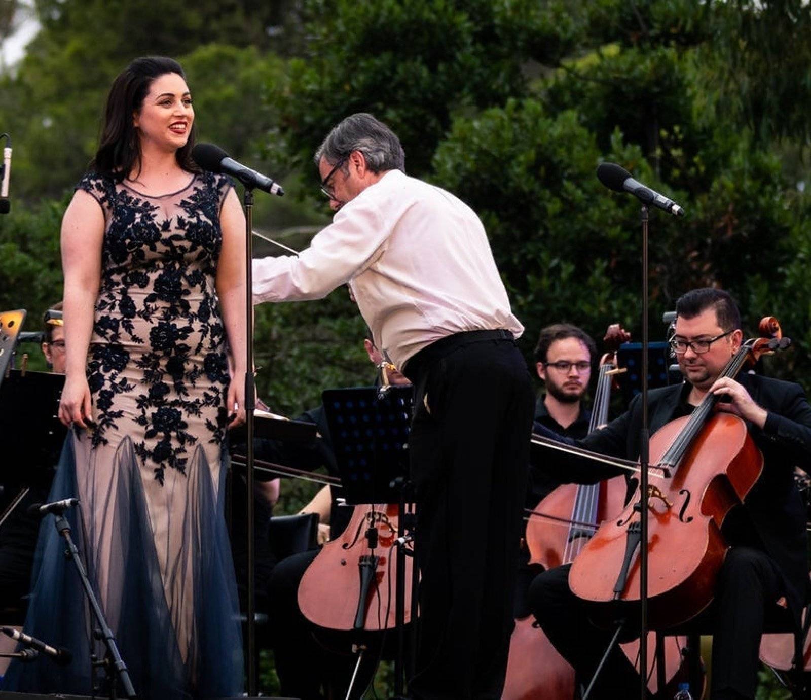 Mozart by Moonlight events