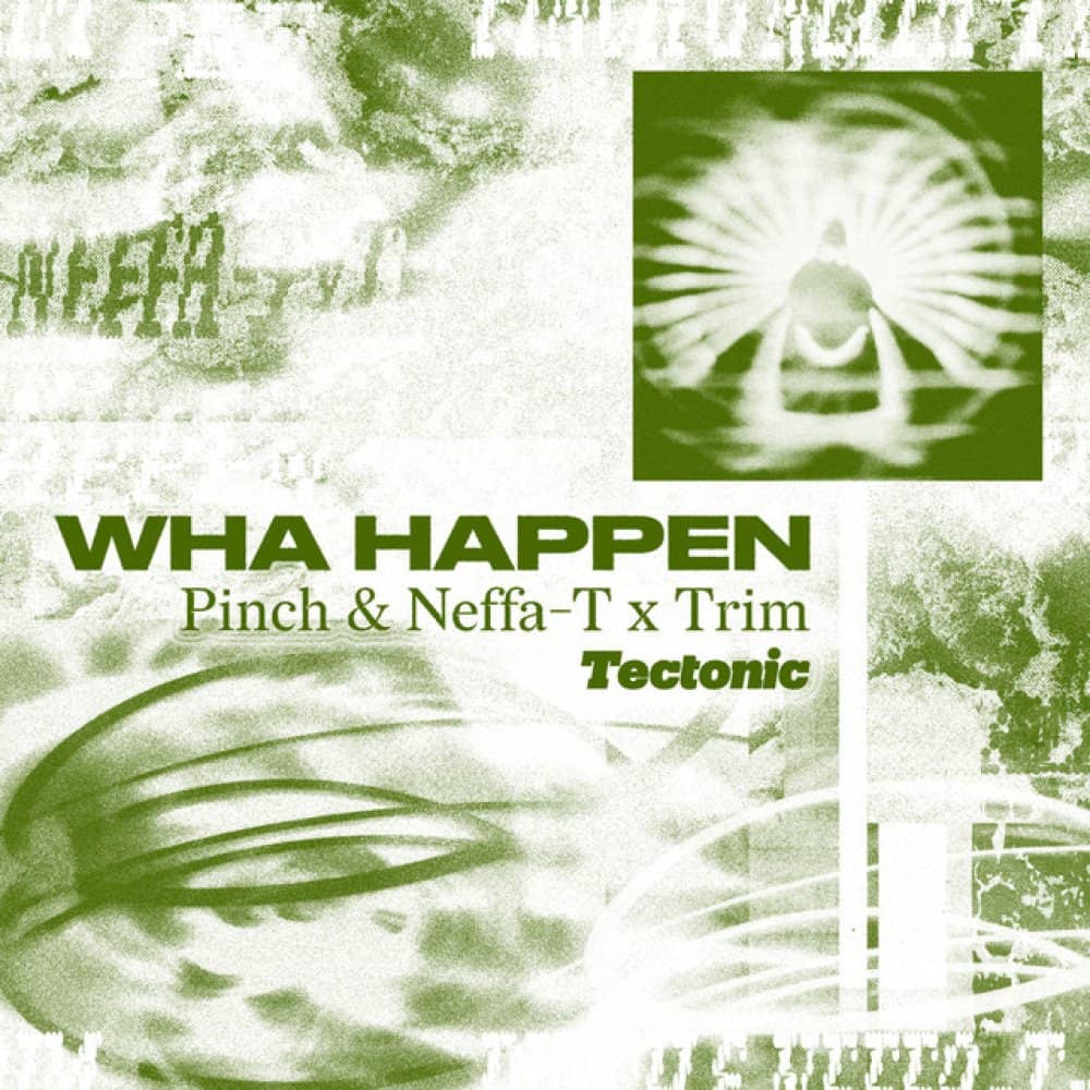 Neffa-T events