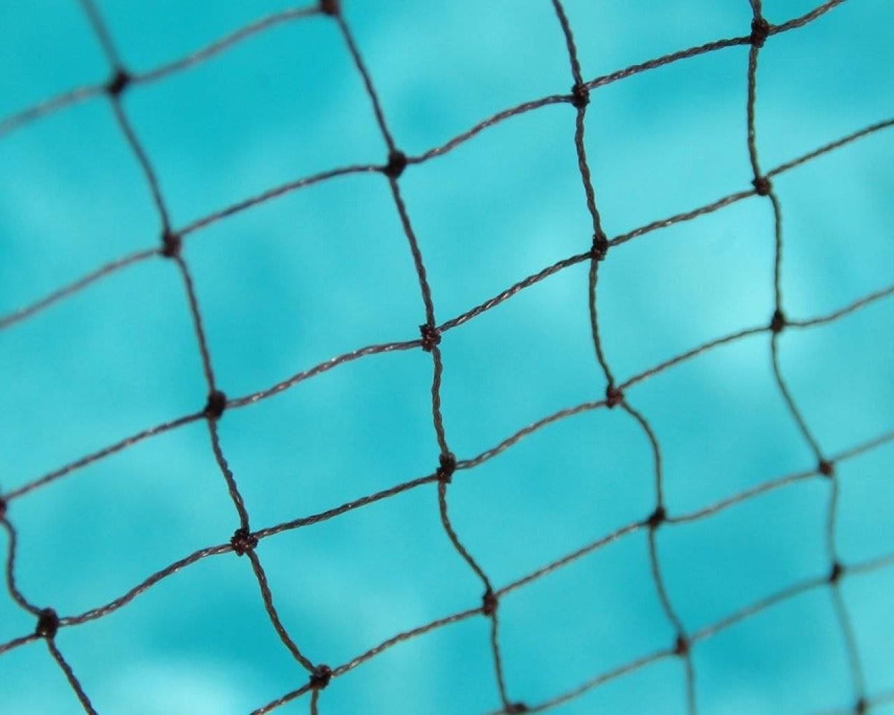 Water Polo Australia events