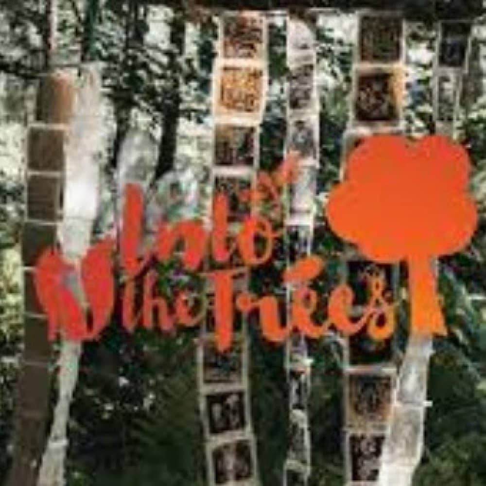 Into The Trees 2024 events