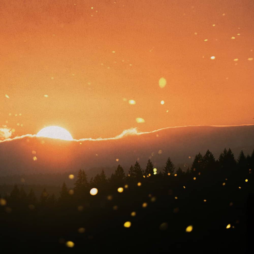 Vandenberg events